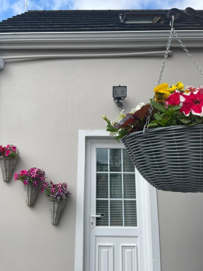 Belfast Loft Lejlighed Eksteriør billede